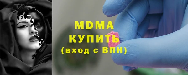 индика Богородск